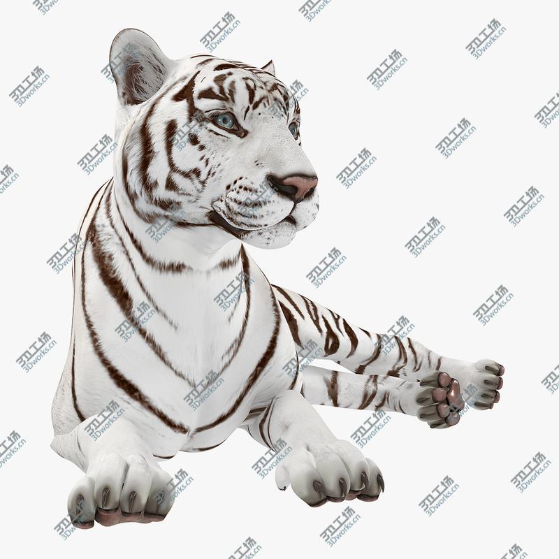 images/goods_img/2021040164/Lying White Tiger 3D Model 3D model/1.jpg